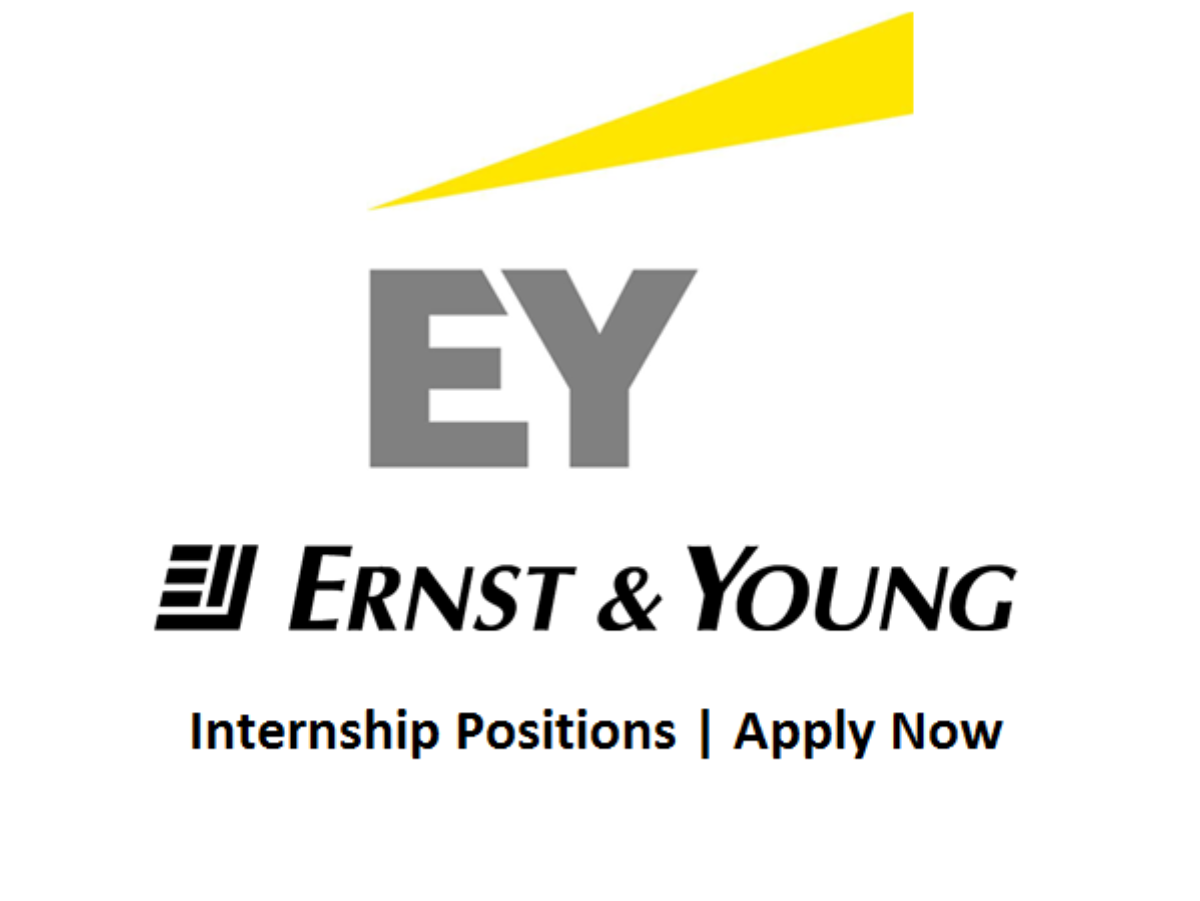 Visual assist. Арутюнян Мане аудитор Ernst young. Ernst and young Audit Report