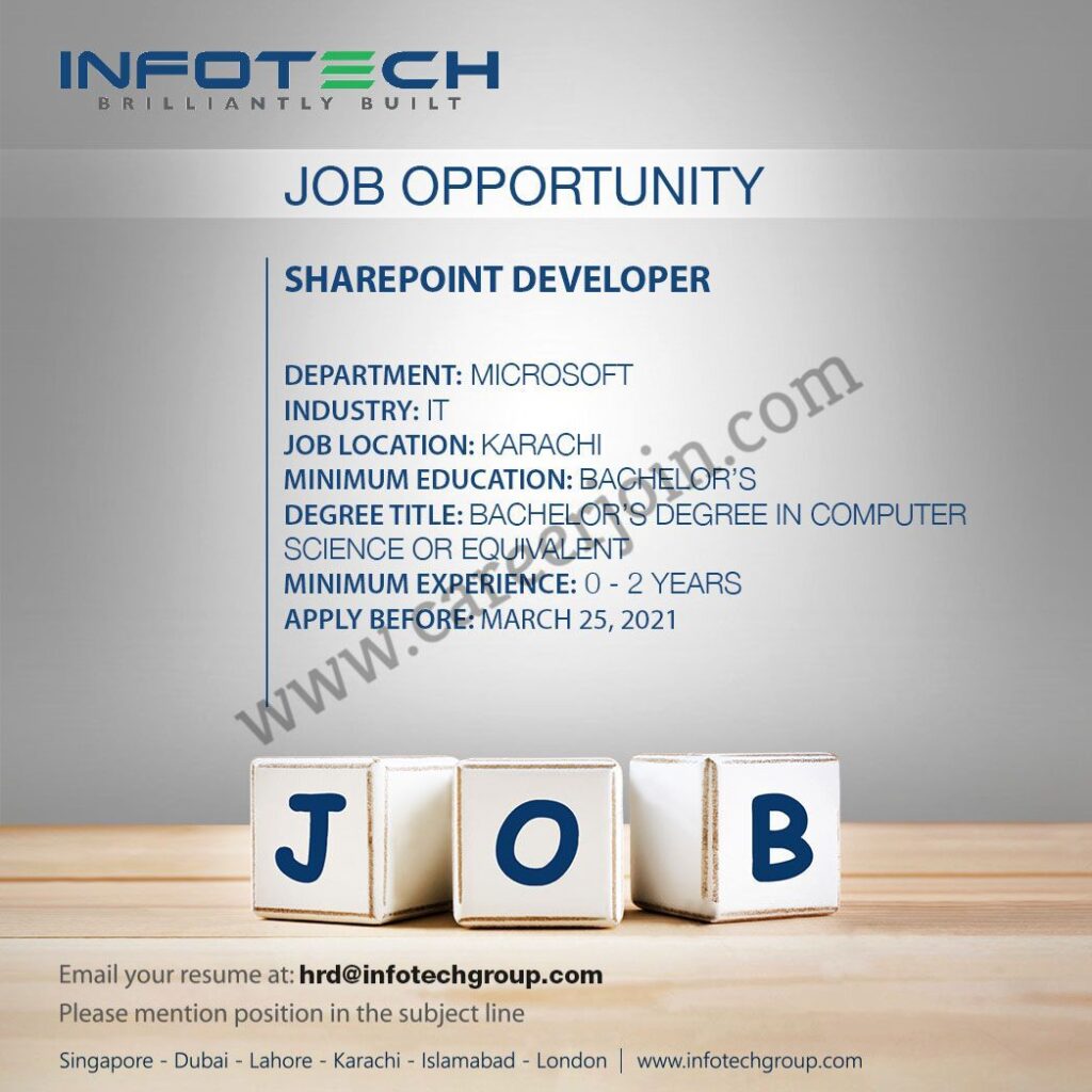 InfoTech Group Jobs 024 February 2021 Picture