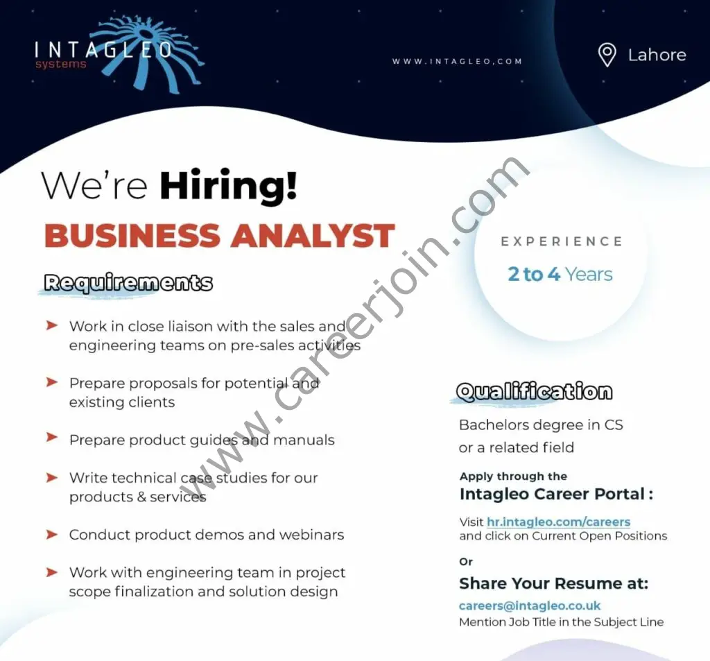 Intagleo Systems Jobs Business Analyst