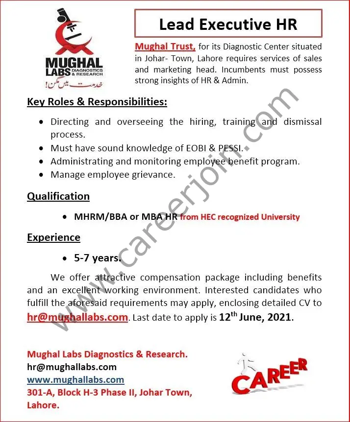Mughal Labs Jobs Lead Executive HR