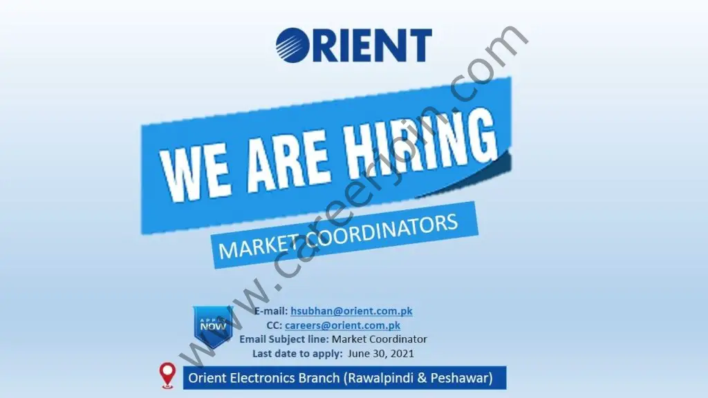 Orient Group Jobs Market Coordinators