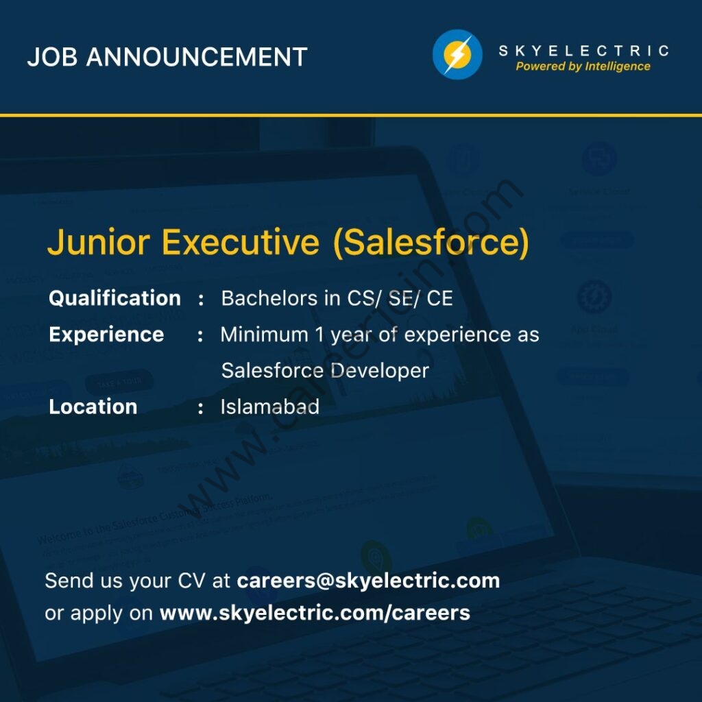 SkyElectric Pvt Ltd Jobs Junior Executive