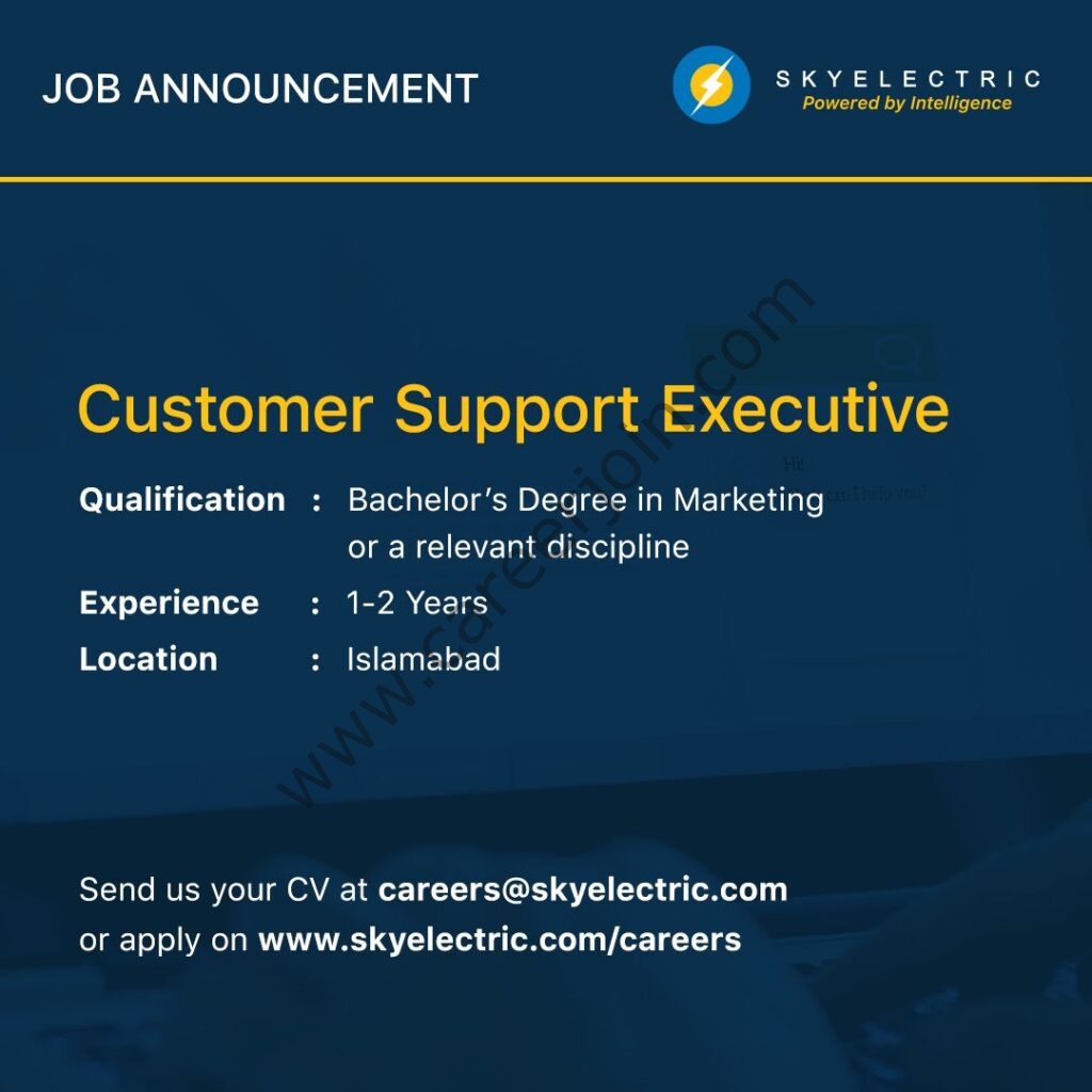 SkyElectric Pvt Ltd Jobs Customer Support Executive