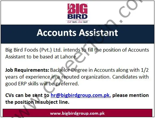 BigBird Group Jobs Accounts Assistant 01
