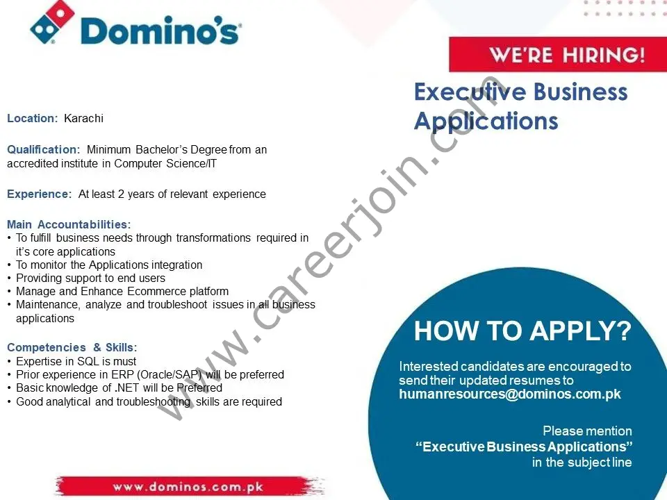 Domino's Pizza Pakistan Jobs Executive Business Applications 01
