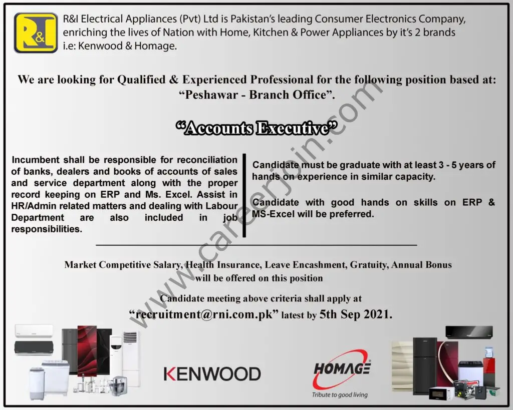 R&I Electrical Appliances Pvt Ltd Jobs Accounts Executive 01