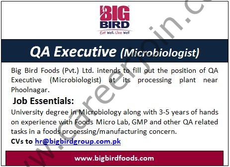 BigBird Group Jobs QA Executive 01