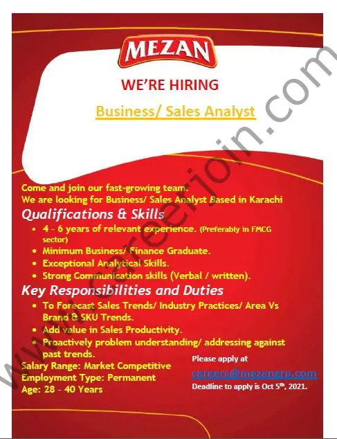 Mezan Group Jobs Sales/ Business Analyst 01