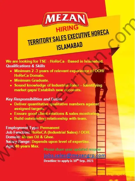 Mezan Group Jobs Territory Sales Executive 01