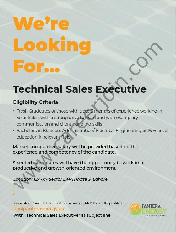 Pantera Energy Jobs Technical Sales Executive/Engineer 01