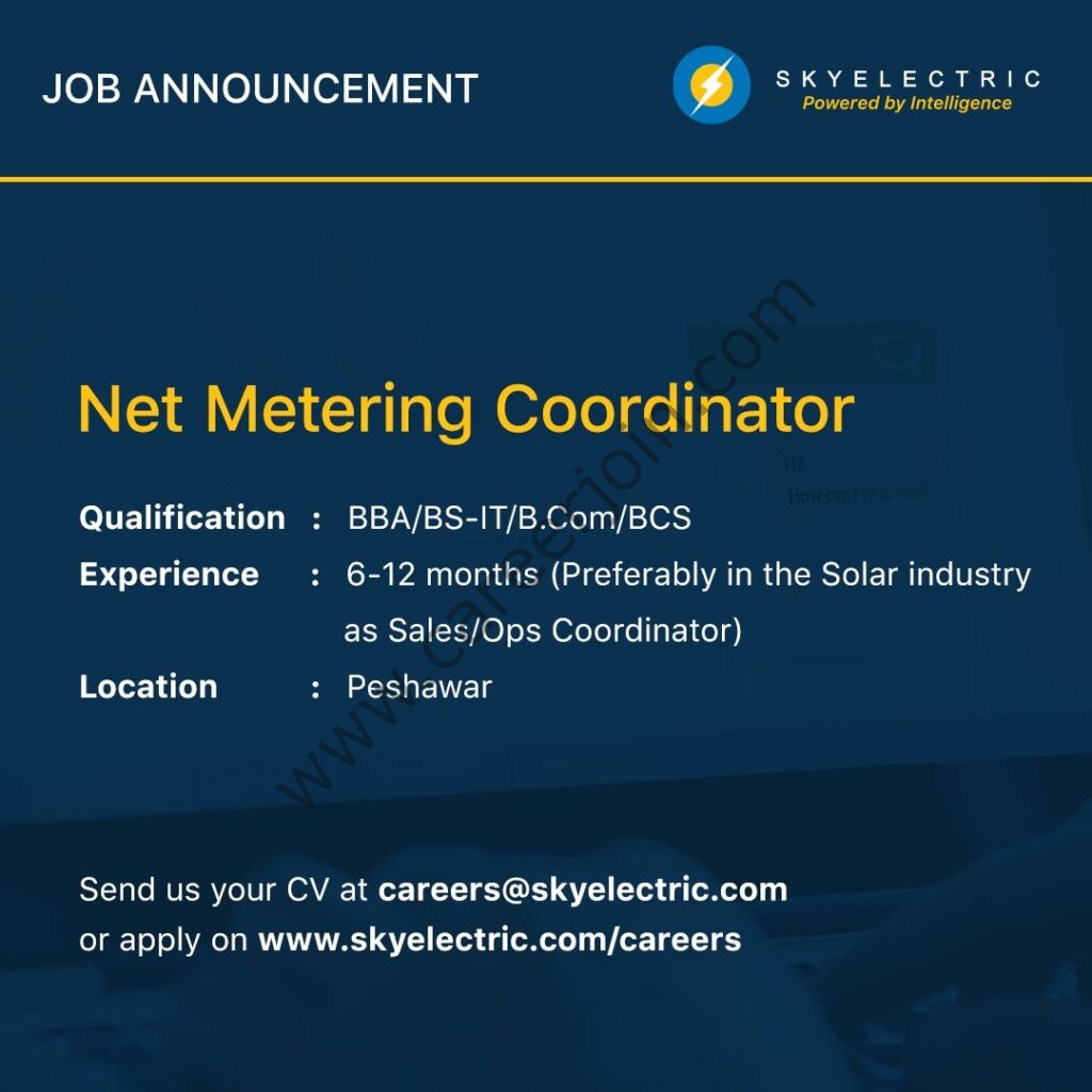 SkyElectric Pvt Ltd Jobs Netmetering Coordinator 01