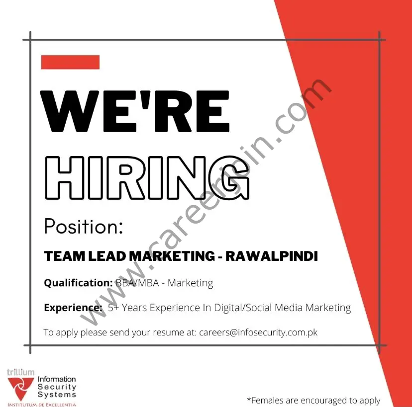 Trillium Information Security Systems Jobs Team Lead Marketing 01