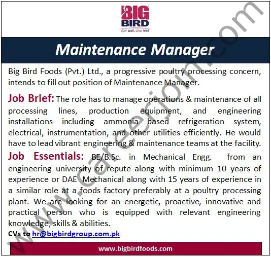 BigBird Group Jobs Maintenance Manager 01