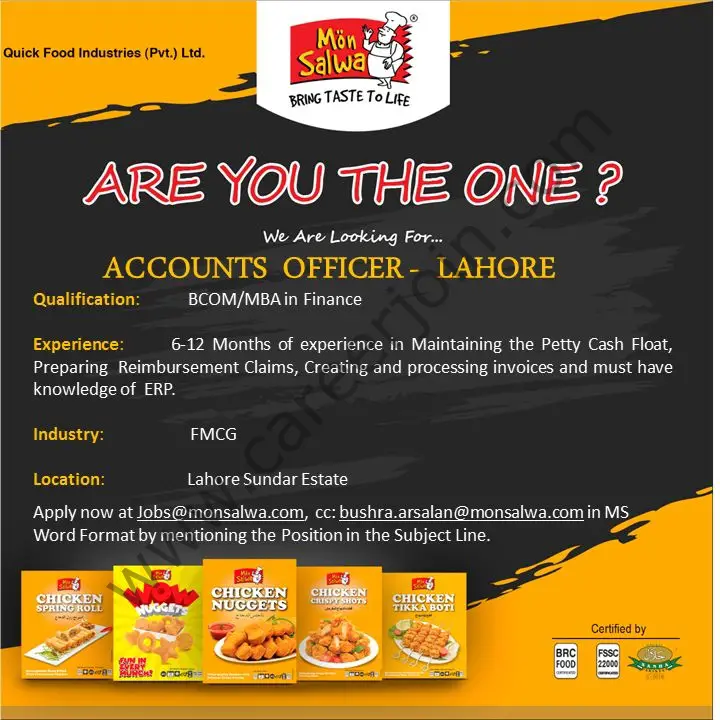 QUICK Food Industries Pvt Limited Jobs Accounts Officer 01