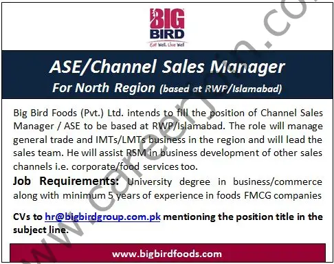 Bigbird Group Jobs ASE / Channel Sales Manager 01