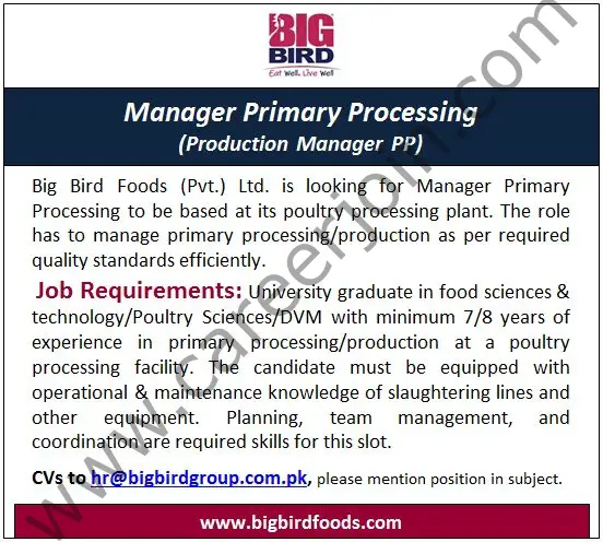 BigBird Group Jobs Manager Primary Processing 01