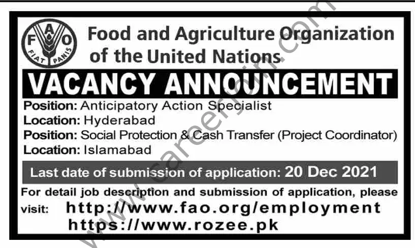 Food & Agriculture Organization FAO Jobs 12 December 2021 Dawn 