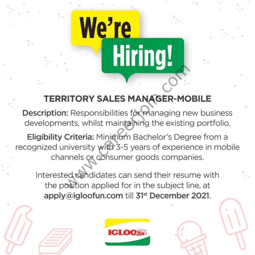 IGLOO Pakistan Jobs Territory Sales Manager Mobile 01
