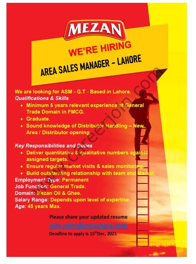 Mezan Group Jobs Area Sales Manager 01