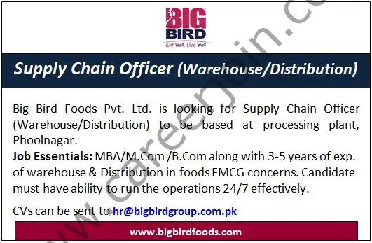 Bigbird Group Jobs Supply Chain Officer 01