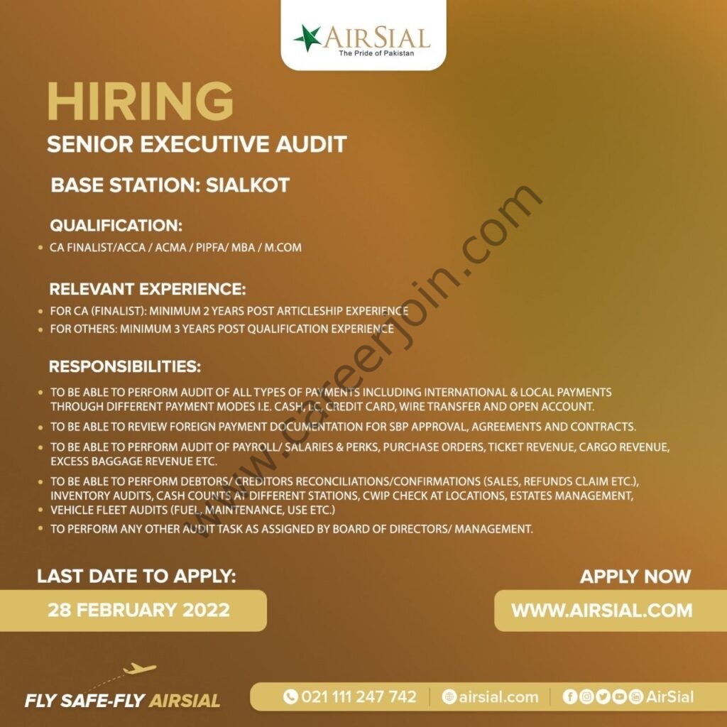 AirSial Limited Jobs Senior Executive Audit 01
