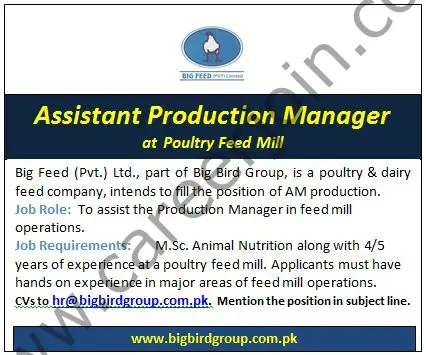Bigbird Group Jobs Assistant Production Manager 01