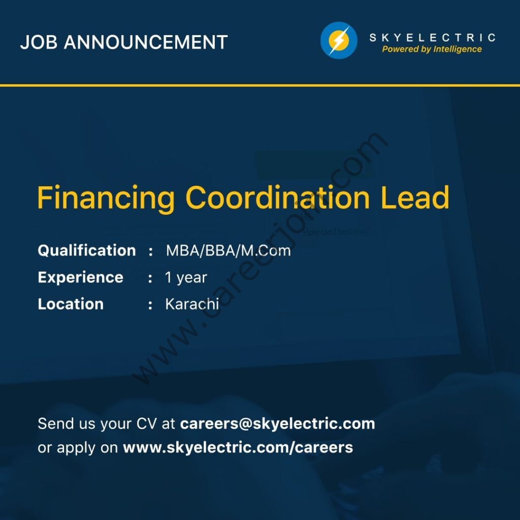 SkyElectric Pvt Ltd Jobs Financing Coordination Lead 01