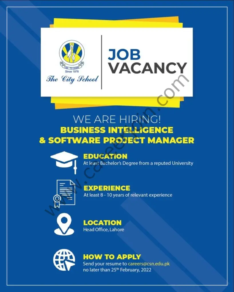 The City School Jobs Business Intelligence & Software Project Manager 01