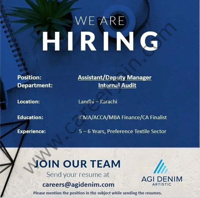 AGI Denim Jobs Assistant / Deputy Manager Internal Audit