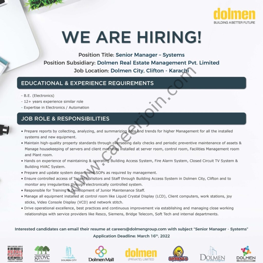 Dolmen Group Jobs Senior Manager Systems 01