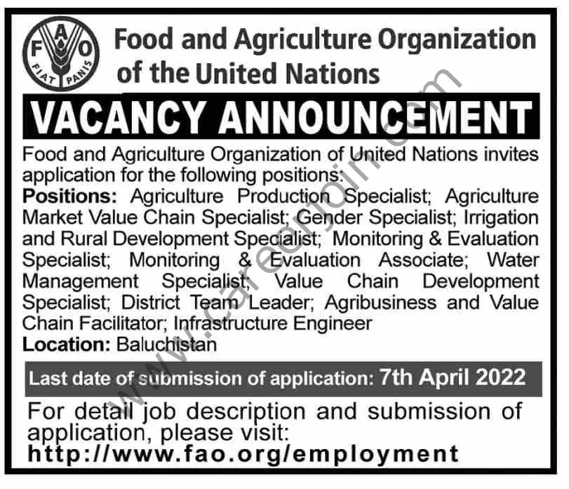 Food & Agriculture Organization of the United Nations Jobs 27 March 2022 Dawn 01