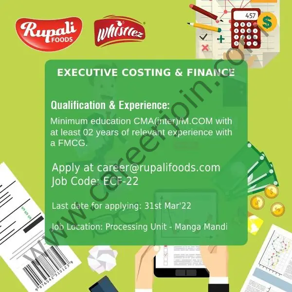 Rupali Foods Pvt Ltd Jobs Executive Costing & Finance 01