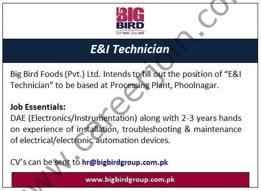 BigBird Group Jobs E&I Technician 01