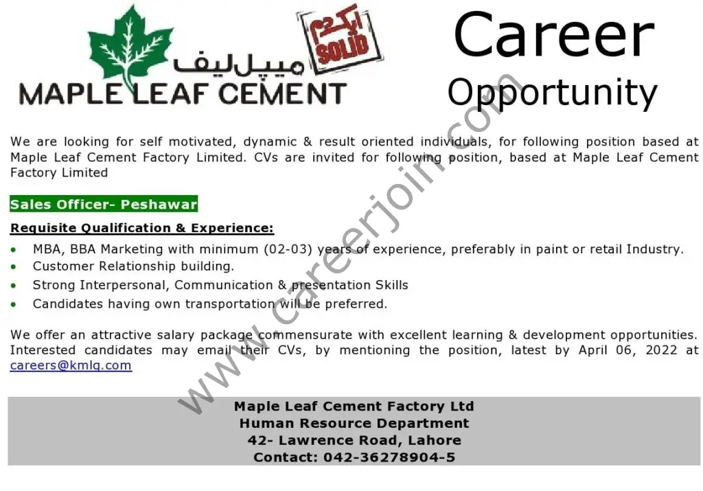 Maple Leaf Cement Company Limited Jobs Sales Officer 01