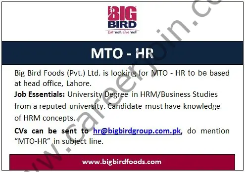 BigBird Group Jobs MTO HR 01