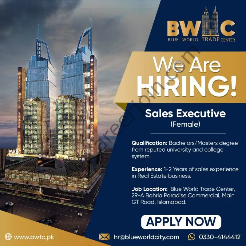 Blue World City Jobs Sales Executive 01