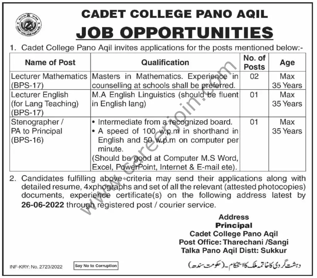 Cadet College Pano Aqil Jobs 12 June 2022 Dawn 1