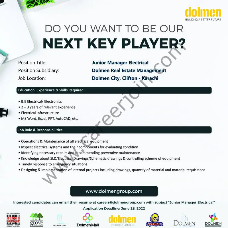 Dolmen Group Jobs June 2022 02