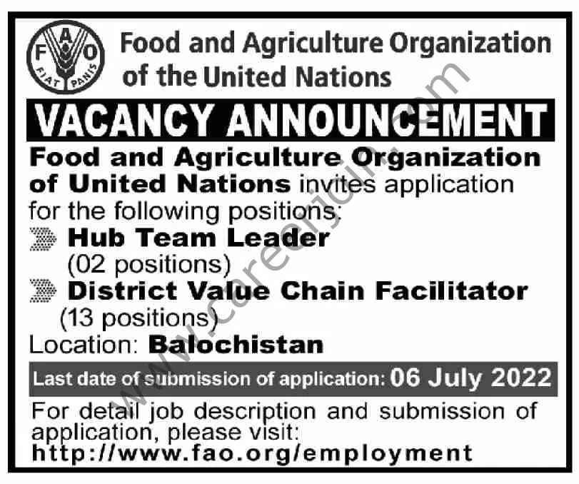Food & Agriculture Organization of the United Nations FAO Jobs 26 June 2022 Dawn 02