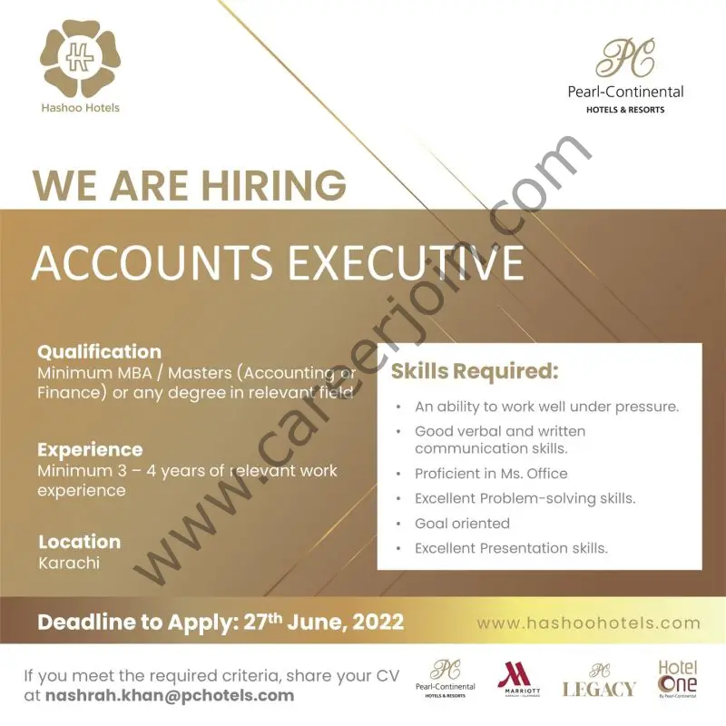 Hashoo Group Jobs Accounts Executive 01