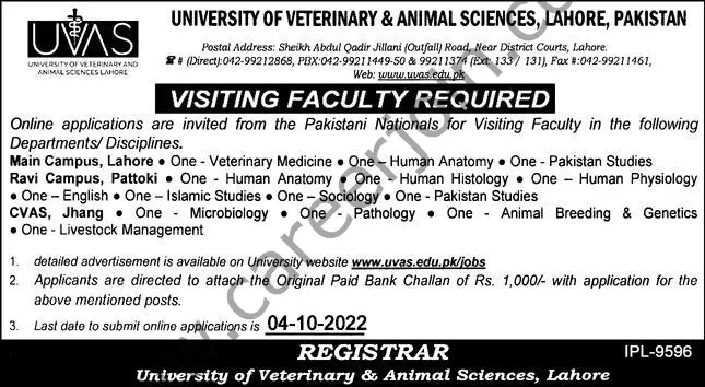 University of Veterinary & Animal Sciences UVAS Jobs September 2022