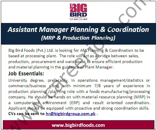 BigBird Group Jobs Assistant Manager Planning & Coordination 1