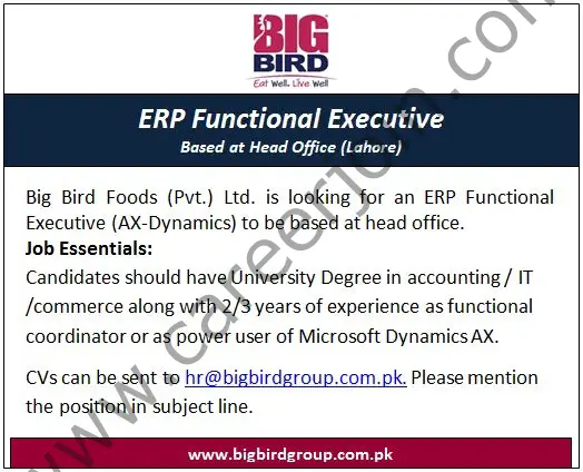 Bigbird Group Jobs ERP Functional Executive 1
