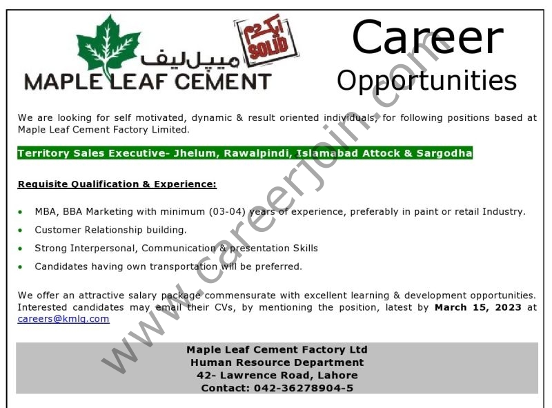 Maple Leaf Cement Factory Limited Jobs Territory Sales Executive 1