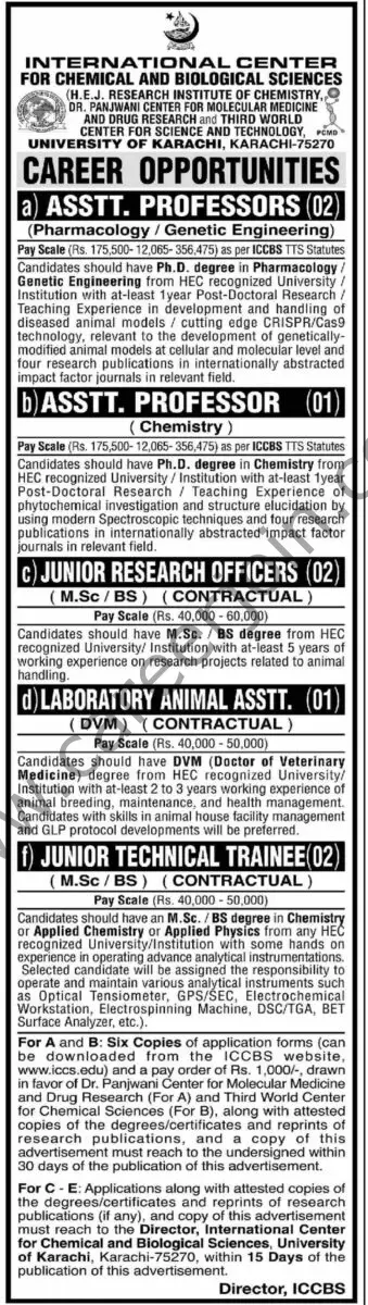 University of Karachi Jobs 05 March 2023 Dawn 1