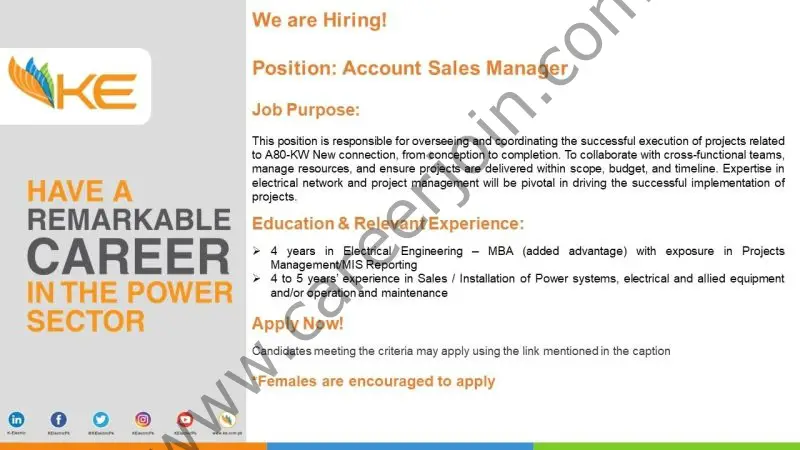 K-Electric Pvt Ltd Jobs Accounts Sales Manager 1