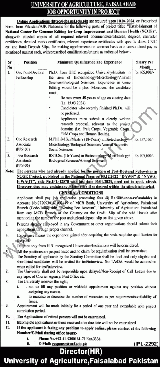 University of Agriculture Faisalabad Jobs 20 March 2024 Nawaiwaqt 1