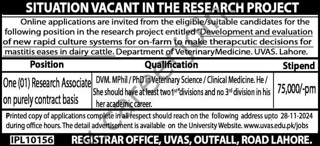 University of Veterinary & Animal Sciences UVAS Lahore Jobs 17 November 2024 Express 1