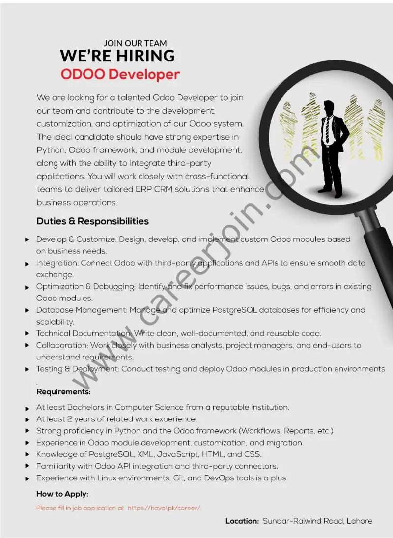 Haval Pakistan Jobs Odoo Developer 1