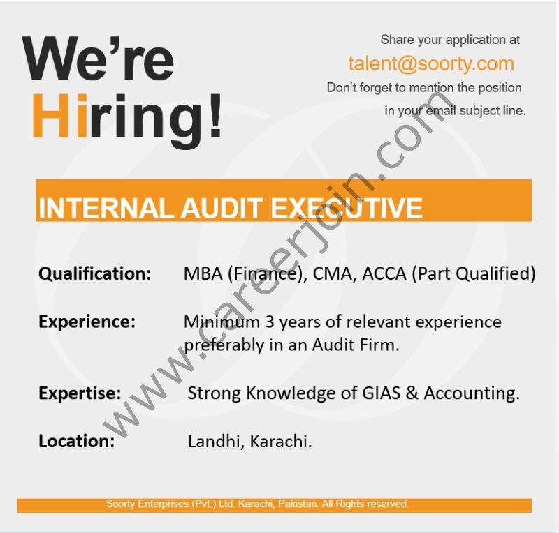 Soorty Enterprises Jobs Internal Audit Executive 1